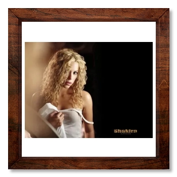 Shakira 12x12