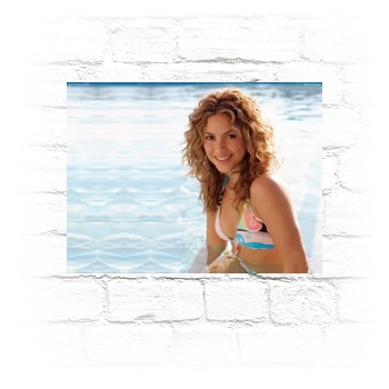 Shakira Metal Wall Art