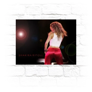 Shakira Metal Wall Art