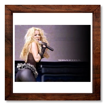 Shakira 12x12