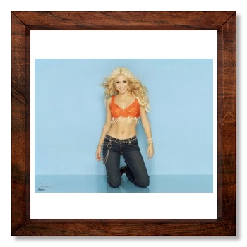 Shakira 12x12