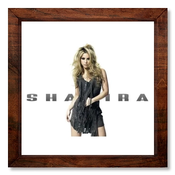 Shakira 12x12