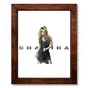 Shakira 14x17