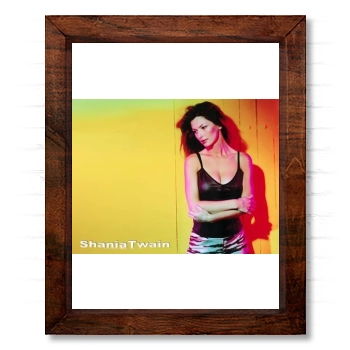 Shania Twain 14x17