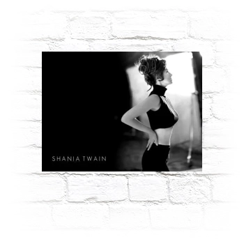 Shania Twain Metal Wall Art