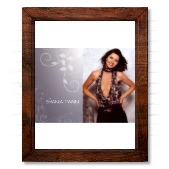 Shania Twain 14x17