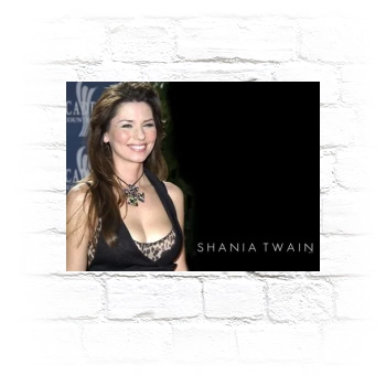 Shania Twain Metal Wall Art