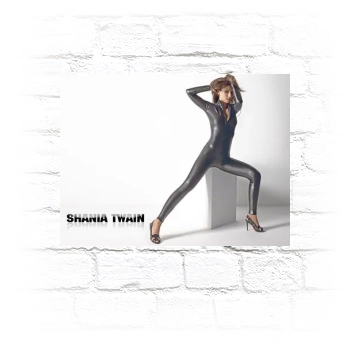 Shania Twain Metal Wall Art