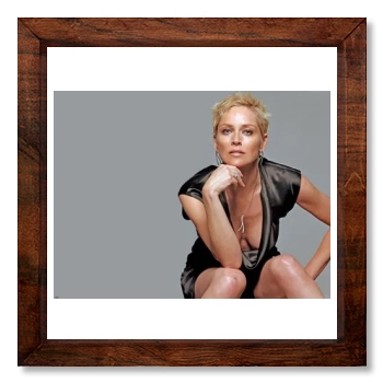 Sharon Stone 12x12