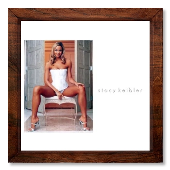 Stacy Keibler 12x12