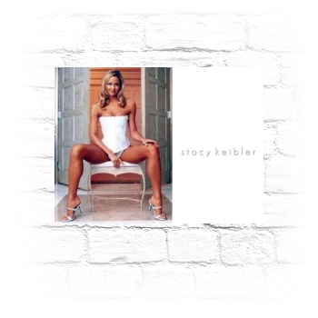 Stacy Keibler Metal Wall Art