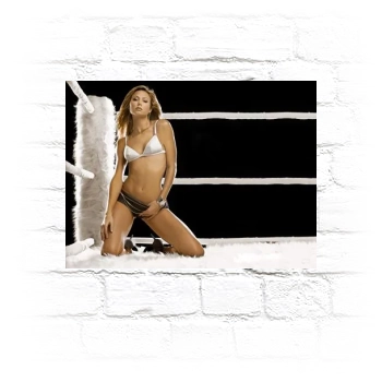 Stacy Keibler Metal Wall Art