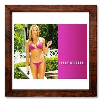 Stacy Keibler 12x12