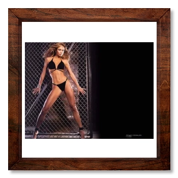 Stacy Keibler 12x12