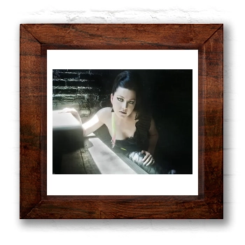 Amy Lee 6x6