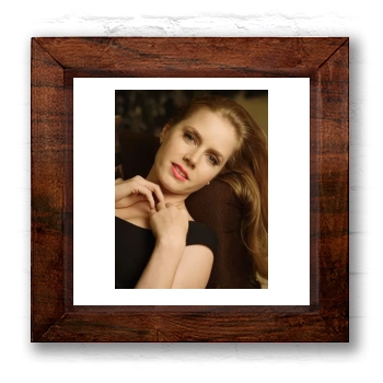 Amy Adams 6x6