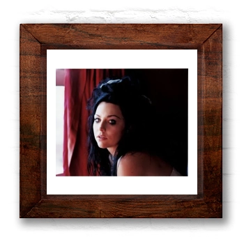 Amy Lee 6x6