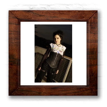 Amy Lee 6x6