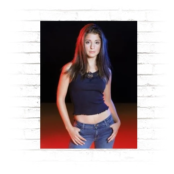 Shiri Appleby Poster