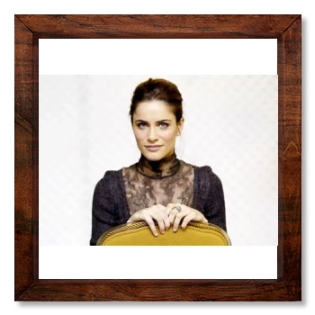 Amanda Peet 12x12