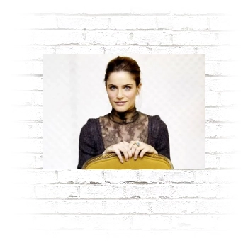 Amanda Peet Poster