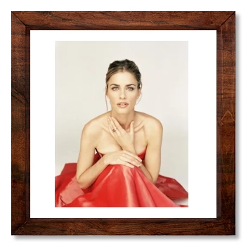 Amanda Peet 12x12