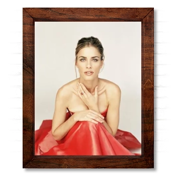 Amanda Peet 14x17