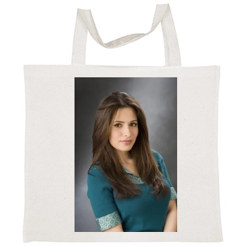 Sarah Shahi Tote