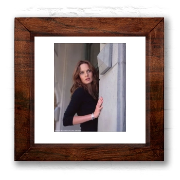 Sarah Wayne Callies 6x6