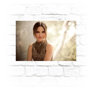 Sophia Bush Metal Wall Art