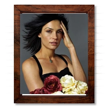 Famke Janssen 14x17