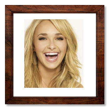 Hayden Panettiere 12x12