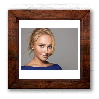 Hayden Panettiere 6x6