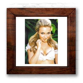 Hayden Panettiere 6x6