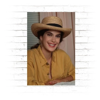 Teri Hatcher Poster