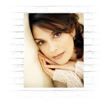 Teri Hatcher Poster