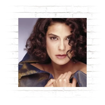 Teri Hatcher Poster