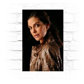 Teri Hatcher Metal Wall Art