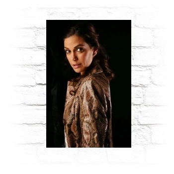 Teri Hatcher Metal Wall Art