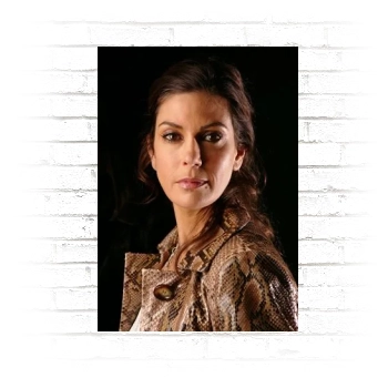 Teri Hatcher Poster