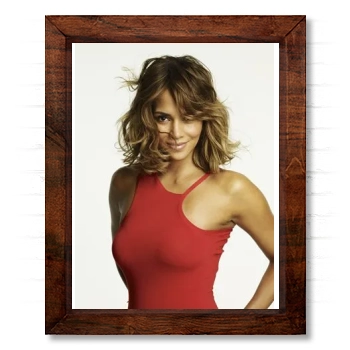 Halle Berry 14x17