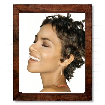 Halle Berry 14x17