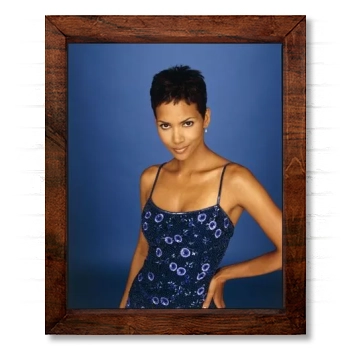 Halle Berry 14x17