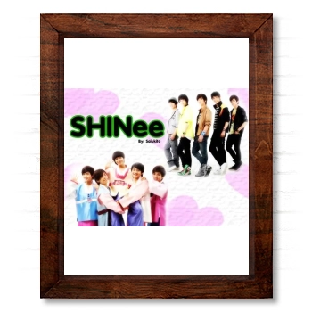 SHINee 14x17