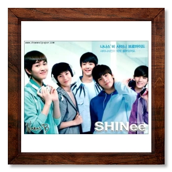 SHINee 12x12