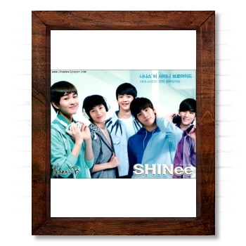 SHINee 14x17