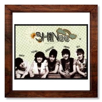 SHINee 12x12