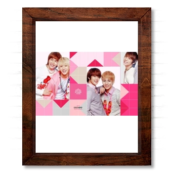 SHINee 14x17