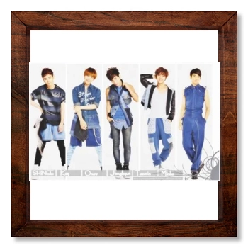 SHINee 12x12