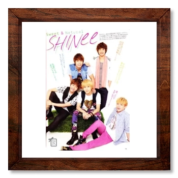 SHINee 12x12